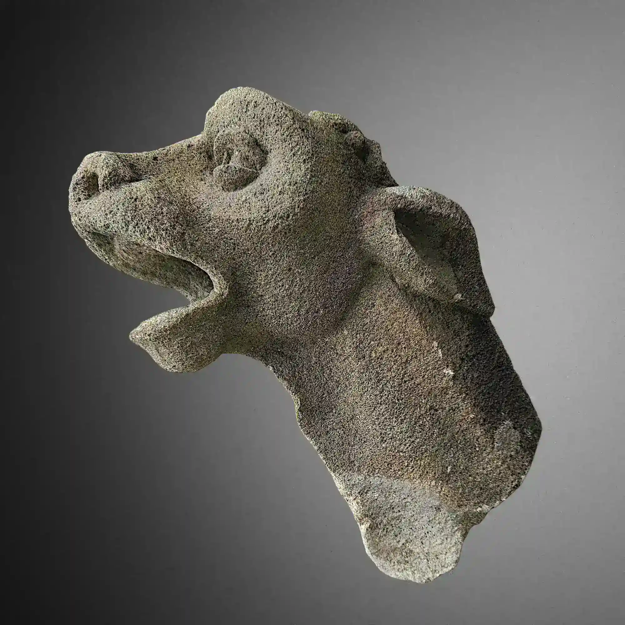Gotischer Wasserspeier Auvergne. Hauptansicht der Skulptur