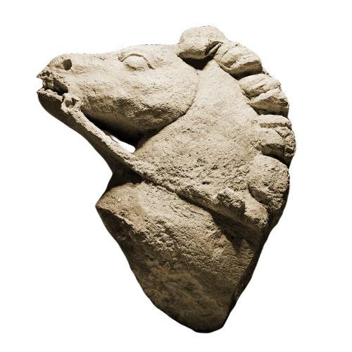 Gallo-Roman horse head.
