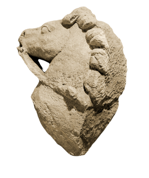 Gallo-Roman horse head.-2