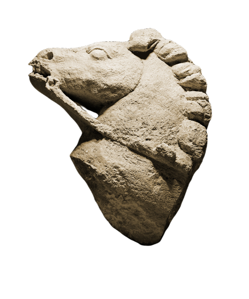 Gallo-Roman horse head.
