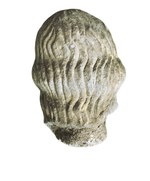 Head of apostle or Christ. 13th century View number 3