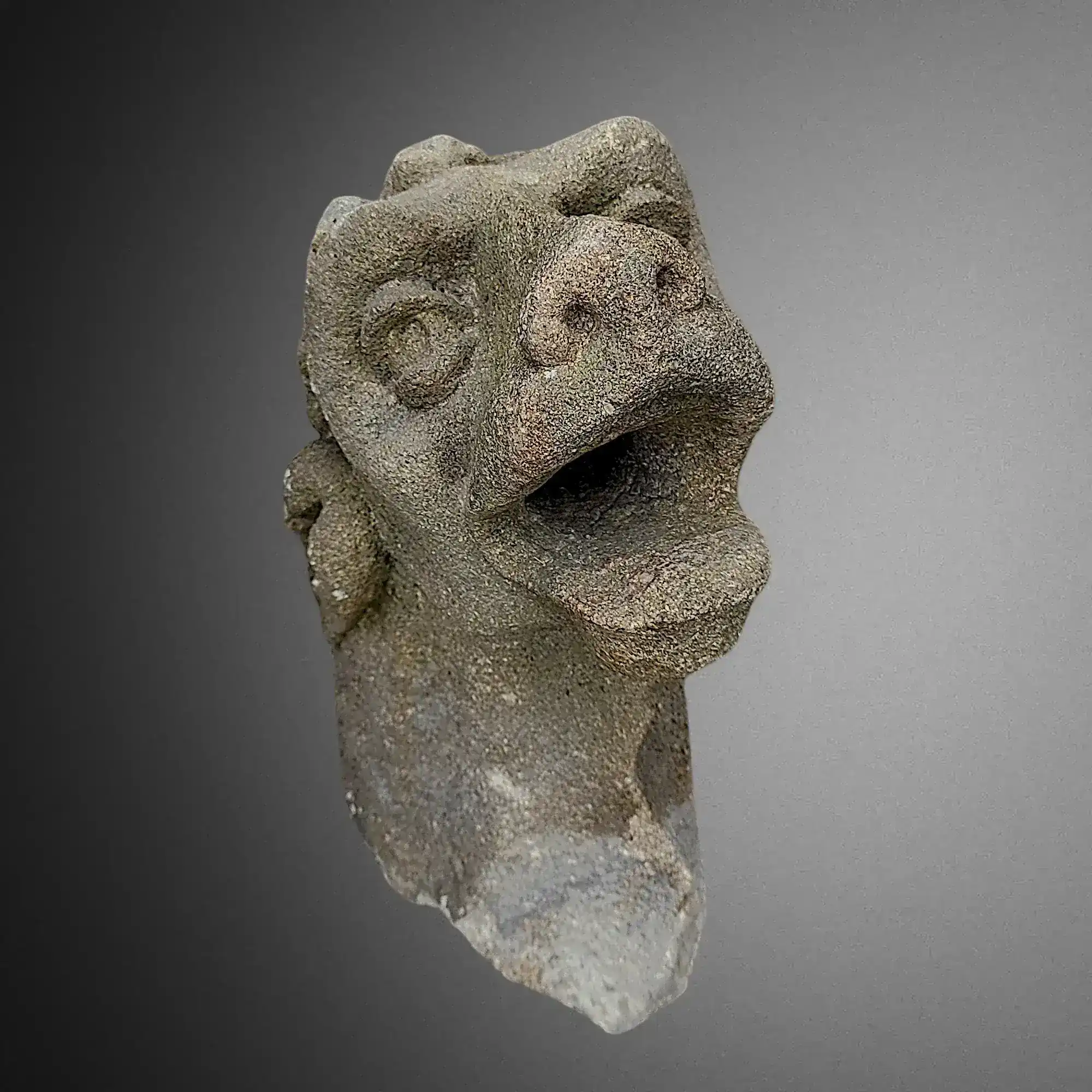 Gothic Gargoyle. Auvergne. View number 3