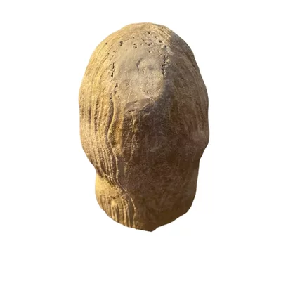 Head of an apostle or prophet Romanesque period. France. View number 3