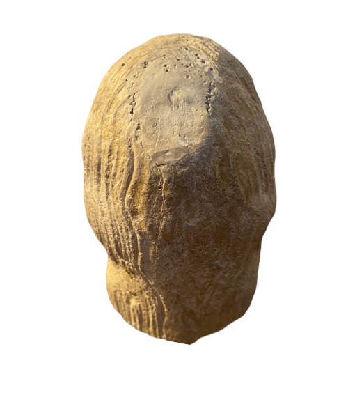 Tête d'apôtre ou de prophète époque romane. France. Vue numéro 3